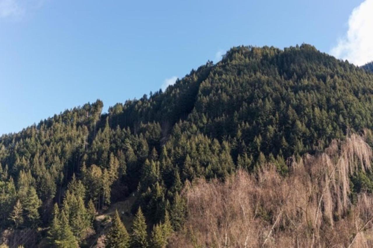 Mountain View City Apartment Queenstown Eksteriør bilde